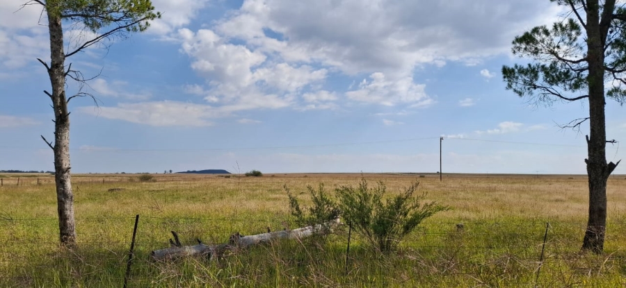 4 Bedroom Property for Sale in Bloemfontein Rural Free State